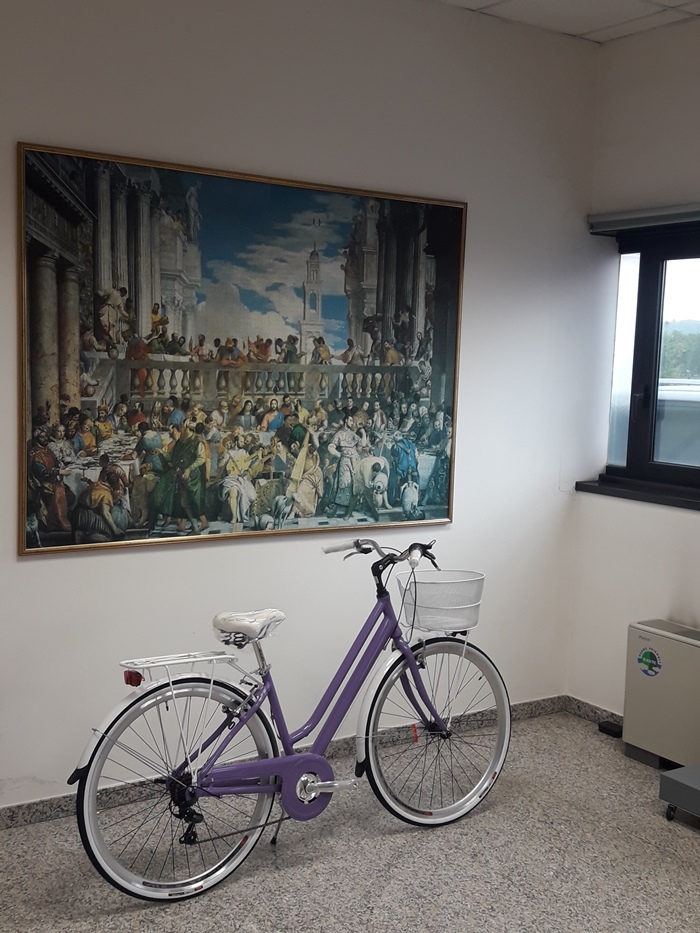 Violetta - bici da donna colore Lilla